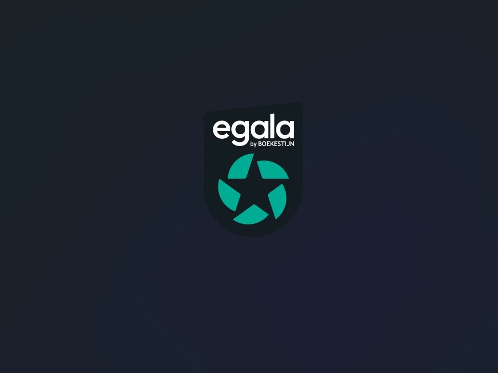 Șofer C+E Comunitate - Benelux/Germania